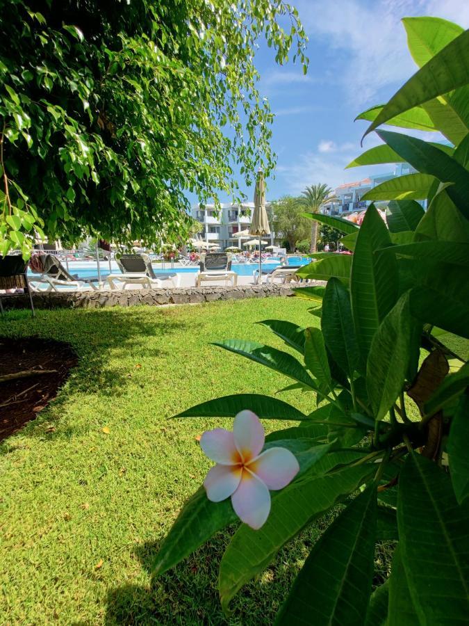 Private Apartment 150 Hg Tenerife Sur لوس كريستيانوس المظهر الخارجي الصورة